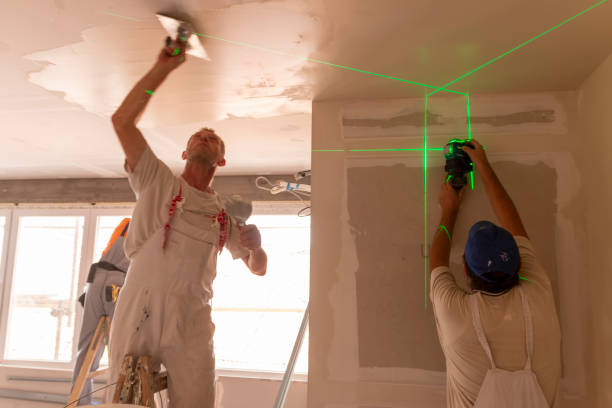 Best Drywall Sanding and Smoothing  in Snohomish, WA